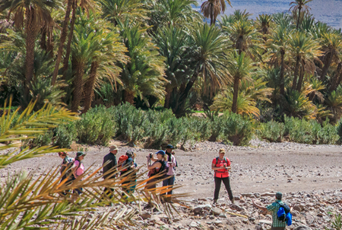 Hike to the Fint Oasis